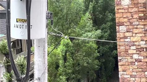 nang sumilip ang pasas pinayflix|Nang Sumilip Ang Pasas na Pangarap Masipsip.